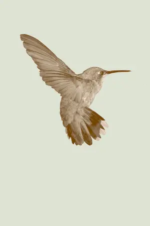 ปกนิยาย ( e x o ) ▷ H e r r ' chanbaek