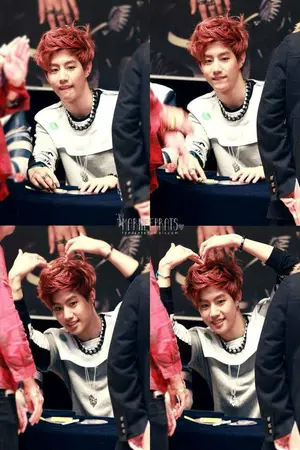 ปกนิยาย ฮาเร็ม tiffany exo got7 bts