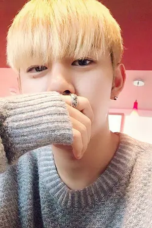 ปกนิยาย A Bookseller and His Pet [B.A.P]