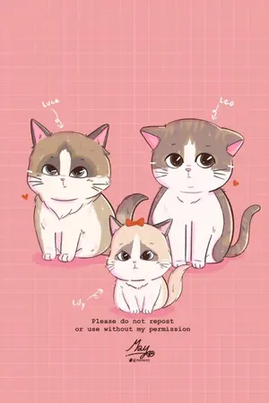 ปกนิยาย รักเดียวเพียงเธอ