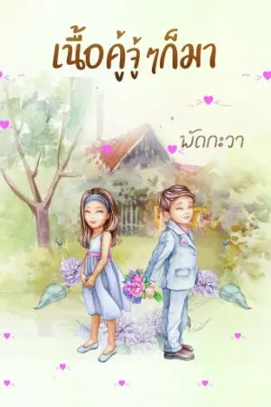 ปกนิยาย