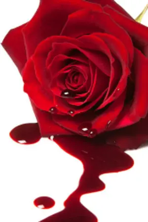 ปกนิยาย สมรภูมิสวาท