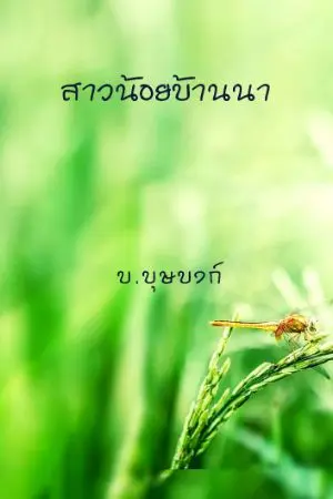 ปกนิยาย สาวน้อยบ้านนา (E-book)