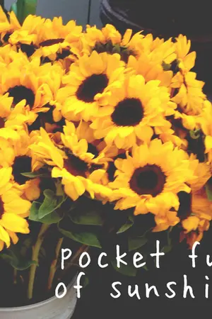 ปกนิยาย All about friends { kaihun }