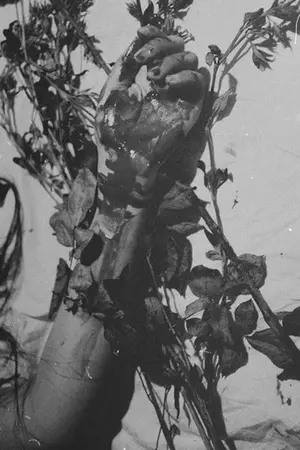 ปกนิยาย (( Moonlight ☽ )) #krislay #kaihun