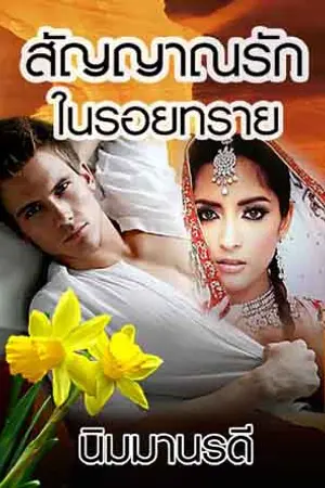 ปกนิยาย สัญญาณรักในรอยทราย