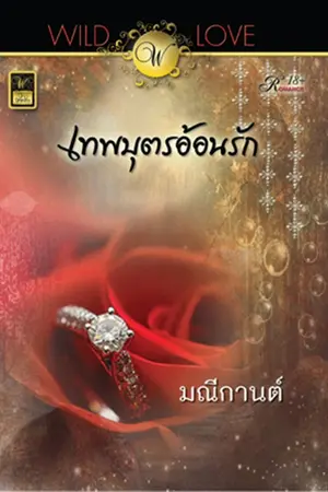 ปกนิยาย เทพบุตรอ้อนรัก (ตีพิมพ์สนพ. วาวบุ๊คคลับ)