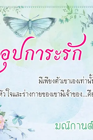 ปกนิยาย