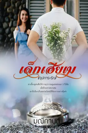 ปกนิยาย