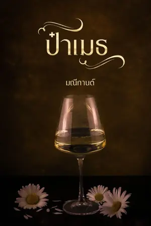 ปกนิยาย ป๋าเมธ