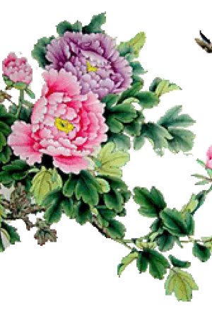 ปกนิยาย ลำนำดอกหมู่ตัน