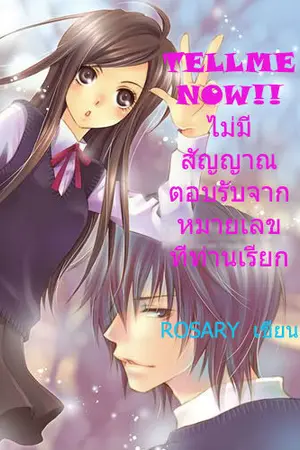 ปกนิยาย