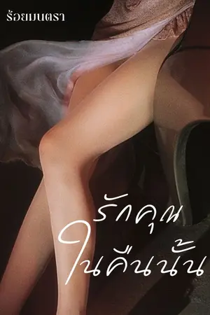 ปกนิยาย รักคุณในคืนนั้น