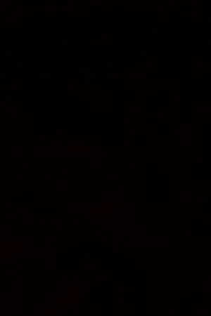 ปกนิยาย Sins Project