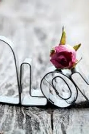 ปกนิยาย ก็ใจมันสั่งให้รัก