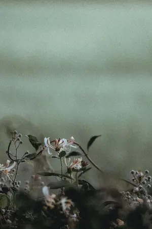 ปกนิยาย [Fic VIXX] Flower Shop #AllN #โปรเจคร้านดอกไม้