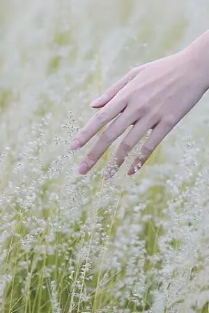 ปกนิยาย [Fic GOT7][Markbam,Bnoir,Jackjae,Yugjin][feat.vkook,hunhan & Sana] Agains กาลครั้งหนึ่งในวันวาน