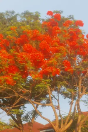 ปกนิยาย ผมเกิด​ใหม่​เป็น​น้องชาย​(เกอ)​ของ​ผู้​ที่​ก่อ​กบฏ​ไม่สำ​เร็จ