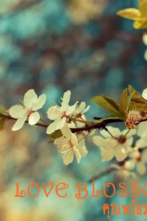 ปกนิยาย Love Blossom คุณพร้อมจะเริ่มต้นใหม่หรือยัง (Tempg)