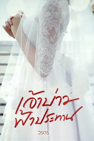 ปกนิยาย สามีฟ้าประทาน+เจ้าบ่าวตกบ่วง+เมียลับยอดรัก