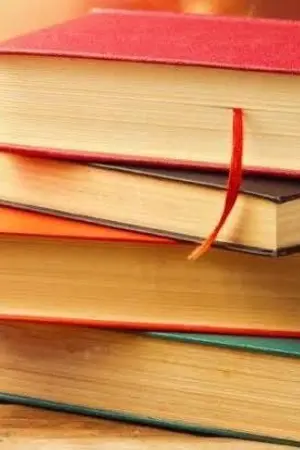 ปกนิยาย The story TIN hate about THEME