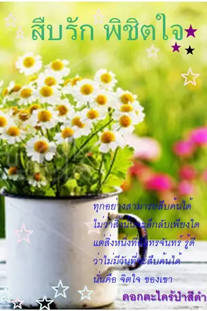 ปกนิยาย สืบรัก พิชิตใจ