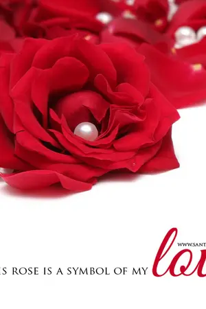 ปกนิยาย พบกันใหม่ ผู้ชายสุดที่รัก [Boy's love]