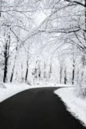 ปกนิยาย CHRISTMASDAY ft.EXO SNSD