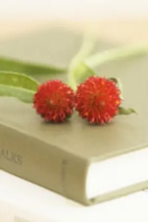 ปกนิยาย ความทรงจำ....ไดอารี่ที่รัก