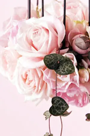 ปกนิยาย นางกรรณิการ์