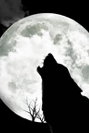 ปกนิยาย [EXO-fic] WolF High School