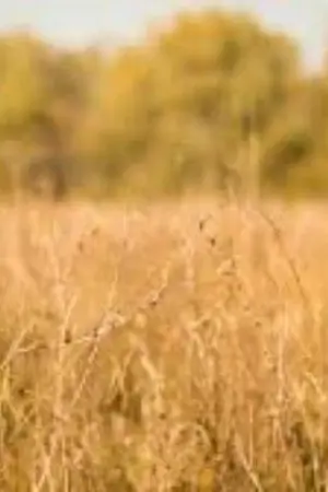 ปกนิยาย Sunshine Of Martin is You