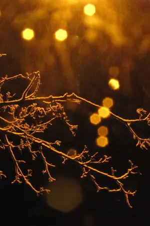 ปกนิยาย - 30 Day - Lucas x Jungwoo #LuJung