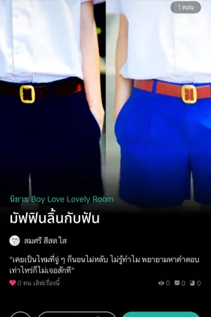 ปกนิยาย