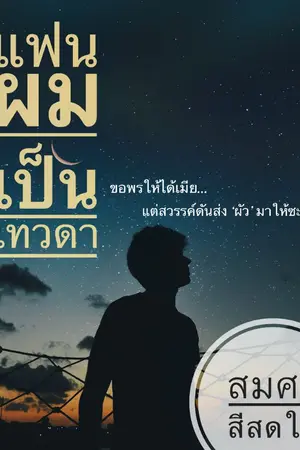 ปกนิยาย แฟนผมเป็นเทวดา