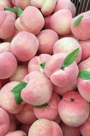 ปกนิยาย (exo) sf - once upon a time