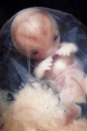 ปกนิยาย น้องทัพพ์