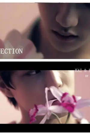 ปกนิยาย ficEXO connection Kaisoo