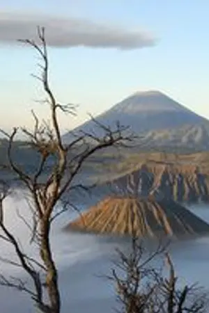 ปกนิยาย 바람 เทพเจ้าสายลม ฟิคแก้บน KaiDo