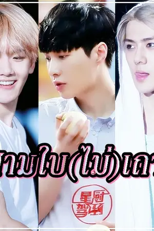ปกนิยาย ฟิคสามใบ(ไม่)เถา +krislay/taohun/chanbaek+