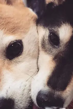 ปกนิยาย ( OS/SF ) ˋ SEONLIN ♡  ◦ by lortorฯ