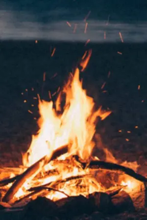 ปกนิยาย [SF Kookmin] Camp of Love