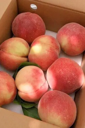 ปกนิยาย How to make peach marmalade ♡ / jinhwi