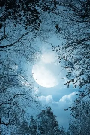 ปกนิยาย ทักษิณายัน [BAEKDO]