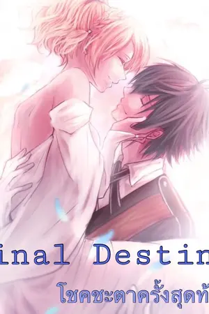 ปกนิยาย Final Destiny โชคชะตาครั้งสุดท้าย