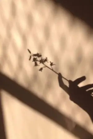 ปกนิยาย (wanna one) ✦ once upon the time, you and i