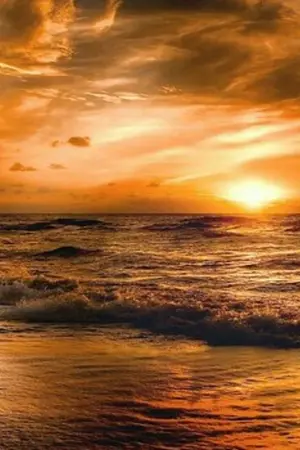 ปกนิยาย เมื่อรักต้องเลือก