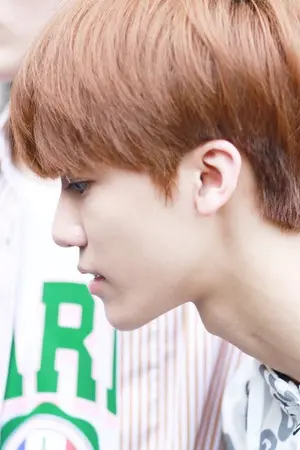 ปกนิยาย SF NCT[NOMIN ALLJAEMIN etc.]