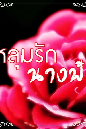 ปกนิยาย หลุมรักนางฟ้า