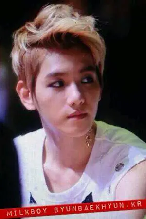 ปกนิยาย Fic  Exo All×Baek  รักวุ่นๆของชายทั้ง12   Fall Only In Love.